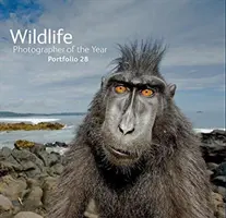 Fotograf dzikiej przyrody roku: Portfolio 28 - Wildlife Photographer of the Year: Portfolio 28