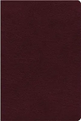 NIV, referencyjna Biblia, druk olbrzymi, skóra klejona, bordowy, wydanie z czerwonymi literami, indeksowane, wygodny druk - NIV, Reference Bible, Giant Print, Bonded Leather, Burgundy, Red Letter Edition, Indexed, Comfort Print