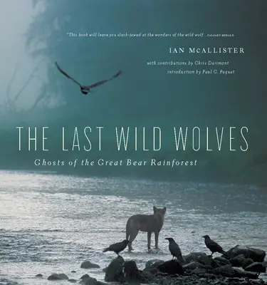 Ostatnie dzikie wilki: Duchy lasów deszczowych - The Last Wild Wolves: Ghosts of the Rain Forest