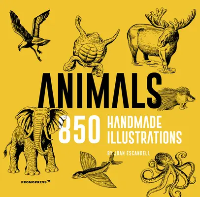Zwierzęta: 850 ręcznie wykonanych ilustracji - Animals: 850 Handmade Illustrations