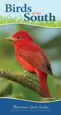 Ptaki Południa: Twój sposób na łatwą identyfikację ptaków podwórkowych - Birds of the South: Your Way to Easily Identify Backyard Birds