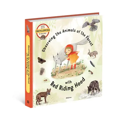 Obserwowanie zwierząt leśnych z Czerwonym Kapturkiem - Observing the Animals of the Forest with Little Red Riding Hood