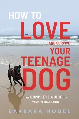 Jak kochać i przetrwać z nastoletnim psem - How to Love and Survive Your Teenage Dog