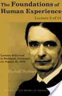 Tajemnica serca: Sakramentalna fizjologia serca u Arystotelesa, Tomasza z Akwinu i Rudolfa Steinera - The Mystery of the Heart: The Sacramental Physiology of the Heart in Aristotle, Thomas Aqinas, and Rudolf Steiner