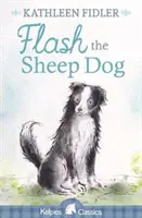 Pies pasterski Flash - Flash the Sheep Dog