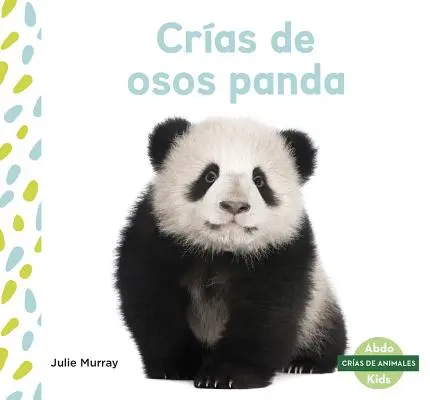 Młode pandy (Cras de Osos Panda) - Cras de Osos Panda (Panda Cubs)