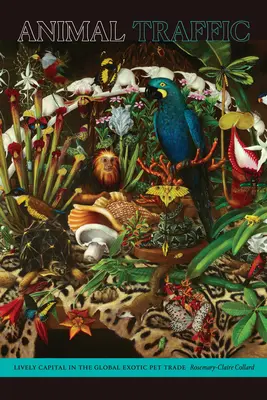 Animal Traffic: Żywy kapitał w globalnym handlu egzotycznymi zwierzętami domowymi