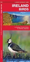 Ptaki Irlandii, wydanie 2 - składany kieszonkowy przewodnik po znanych gatunkach - Ireland Birds, 2nd Edition - A Folding Pocket Guide to Familiar Species