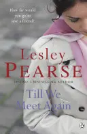 Till We Meet Again - nie do odrzucenia powieść autora bestsellera Sunday Times Liar - Till We Meet Again - The unputdownable novel from the Sunday Times bestselling author of Liar