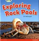 Bug Club Guided Non Fiction Rok 1 Zielony C Odkrywanie basenów skalnych - Bug Club Guided Non Fiction Year 1 Green C Exploring Rock Pools