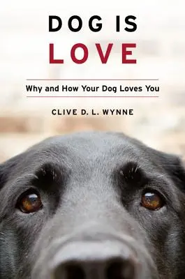 Pies to miłość: Dlaczego i jak twój pies cię kocha - Dog Is Love: Why and How Your Dog Loves You