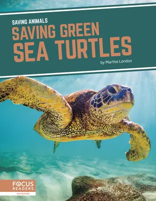 Ratowanie zielonych żółwi morskich - Saving Green Sea Turtles