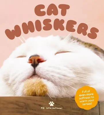 Kocie wąsy - Cat Whiskers