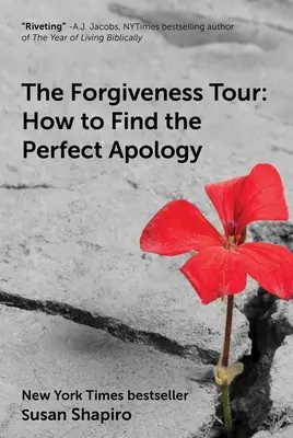 The Forgiveness Tour: Jak znaleźć idealne przeprosiny - The Forgiveness Tour: How to Find the Perfect Apology