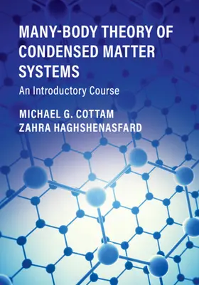 Teoria wielu ciał w układach materii skondensowanej: Kurs wprowadzający - Many-Body Theory of Condensed Matter Systems: An Introductory Course