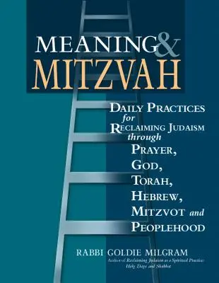 Znaczenie i micwa: Codzienne praktyki odzyskiwania judaizmu poprzez modlitwę, Boga, Torę, hebrajski, micwot i ludowość - Meaning & Mitzvah: Daily Practices for Reclaiming Judaism Through Prayer, God, Torah, Hebrew, Mitzvot and Peoplehood