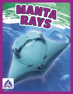 Manty - Manta Rays