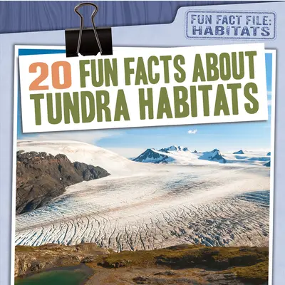 20 ciekawostek o siedliskach tundry - 20 Fun Facts about Tundra Habitats