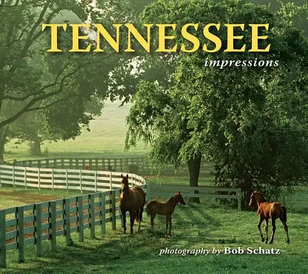 Wrażenia z Tennessee - Tennessee Impressions