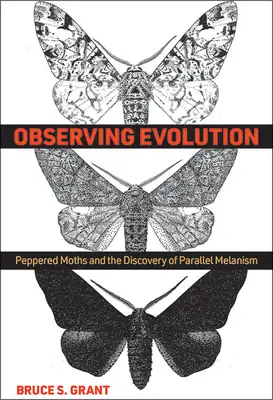 Obserwując ewolucję: Ćmy pieprzowe i odkrycie równoległego melanizmu - Observing Evolution: Peppered Moths and the Discovery of Parallel Melanism
