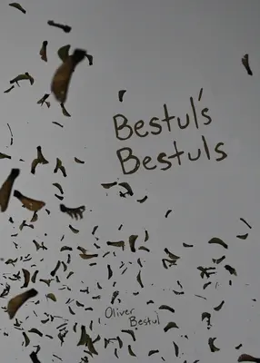 Bestul's Bestuls