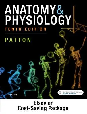 Anatomia i fizjologia - pakiet podręczników tekstowych i laboratoryjnych - Anatomy & Physiology - Text and Laboratory Manual Package