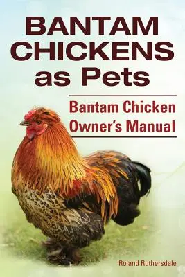 Kurczaki Bantam. Kurczaki Bantam jako zwierzęta domowe. Bantam Chicken Owner's Manual. - Bantam Chickens. Bantam Chickens as Pets. Bantam Chicken Owner's Manual