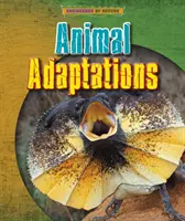 Adaptacje zwierząt - Animal Adaptations