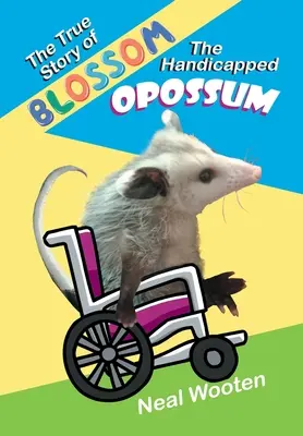 Prawdziwa historia niepełnosprawnego oposa Blossoma - The True Story of Blossom the Handicapped Opossum