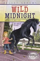 Dzika północ: Historia Emily - Wild Midnight: An Emily Story