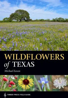 Dzikie kwiaty Teksasu - Wildflowers of Texas
