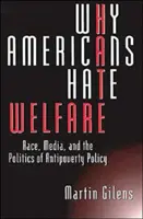 Dlaczego Amerykanie nienawidzą opieki społecznej: Rasa, media i polityka przeciwdziałania ubóstwu - Why Americans Hate Welfare: Race, Media, and the Politics of Antipoverty Policy