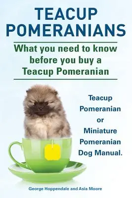 Teacup Pomeranians. Instrukcja obsługi miniaturowego psa rasy Pomeranian lub Teacup Pomeranian. Co musisz wiedzieć, zanim kupisz miniaturowego pomeranian. - Teacup Pomeranians. Miniature Pomeranian or Teacup Pomeranian Dog Manual. What You Need to Know Before You Buy a Teacup Pomeranian.