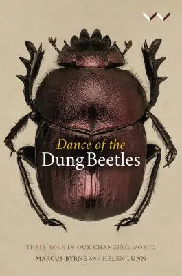 Taniec żuków gnojarzy: Ich rola w zmieniającym się świecie - Dance of the Dung Beetles: Their Role in Our Changing World
