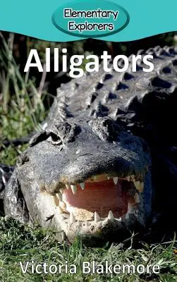 Aligatory - Alligators