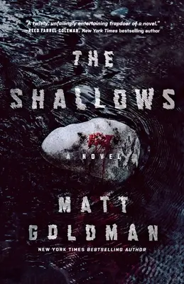 The Shallows: Powieść Nilsa Shapiro - The Shallows: A Nils Shapiro Novel