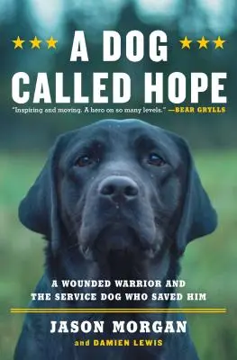 Pies zwany nadzieją: ranny wojownik sił specjalnych i pies, który odważył się go pokochać - A Dog Called Hope: The Special Forces Wounded Warrior and the Dog Who Dared to Love Him