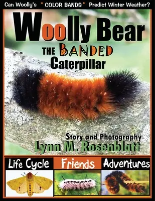 Gąsienica niedźwiedzia wełnistoszczypcego: Cykl życia, przyjaciele i przygody - Woolly Bear the Banded Caterpillar: Life Cycle, Friends and Adventures