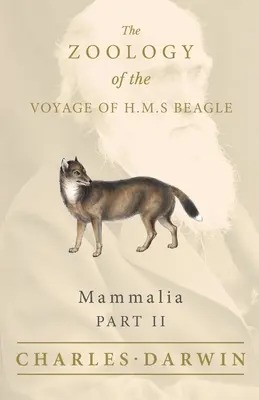 Ssaki - Część II - Zoologia podróży H.M.S Beagle. - Mammalia - Part II - The Zoology of the Voyage of H.M.S Beagle