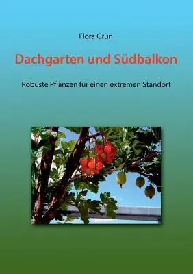 Dachgarten und Sdbalkon: Wytrzymałe rośliny na ekstremalne warunki - Dachgarten und Sdbalkon: Robuste Pflanzen fr einen extremen Standort
