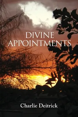 Boskie nominacje - Divine Appointments