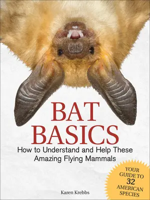 Bat Basics: Jak zrozumieć i pomóc tym niesamowitym latającym ssakom - Bat Basics: How to Understand and Help These Amazing Flying Mammals