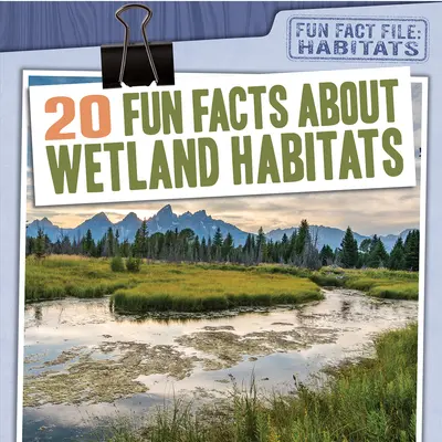 20 zabawnych faktów o siedliskach mokradeł - 20 Fun Facts about Wetland Habitats