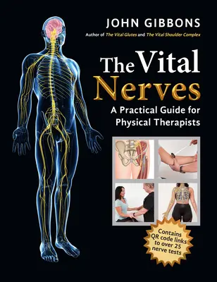 The Vital Nerves: Praktyczny przewodnik dla fizjoterapeutów - The Vital Nerves: A Practical Guide for Physical Therapists