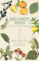 Drzewa Irlandii - Ireland's Trees