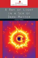 Promień światła w morzu ciemnej materii - A Ray of Light in a Sea of Dark Matter