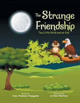 Dziwna przyjaźń: Dwa małe ptaszki i sowa - The Strange Friendship: Two Little Birds and an Owl