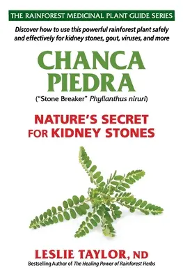 Chanca Piedra: sekret natury na kamienie nerkowe - Chanca Piedra: Nature's Secret for Kidney Stones