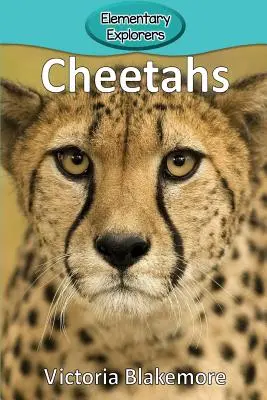 Gepardy - Cheetahs