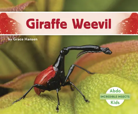 Żyrafa Weevil - Giraffe Weevil